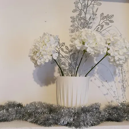 Joe House Ferienhaus *