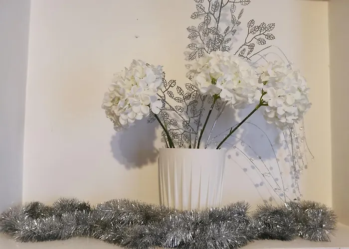 Joe House Ferienhaus *